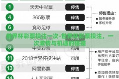 世界杯彩票投注一次-世界杯彩票投注，一次激情与机遇的碰撞
