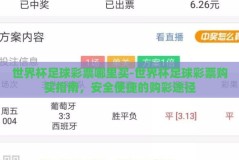 世界杯足球彩票哪里买-世界杯足球彩票购买指南，安全便捷的购彩途径