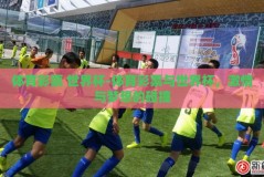 体育彩票 世界杯-体育彩票与世界杯，激情与梦想的碰撞