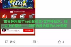 世界杯用哪个app买彩票-世界杯狂欢，指尖上的幸运——如何选择合适的APP购买彩票