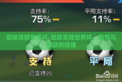 足球竞猜世界杯-足球竞猜世界杯，激情与智慧的碰撞