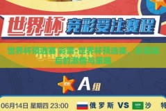 世界杯预选赛 彩票-世界杯预选赛，彩票背后的激情与策略