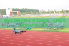 足球彩票网世界杯-足球彩票网，世界杯的激情与策略交汇点