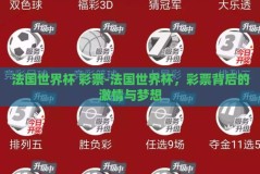 法国世界杯 彩票-法国世界杯，彩票背后的激情与梦想
