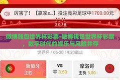 微博钱包世界杯彩票-微博钱包世界杯彩票，数字时代的娱乐与风险并存