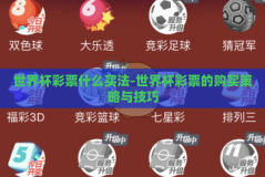 世界杯彩票什么买法-世界杯彩票的购买策略与技巧