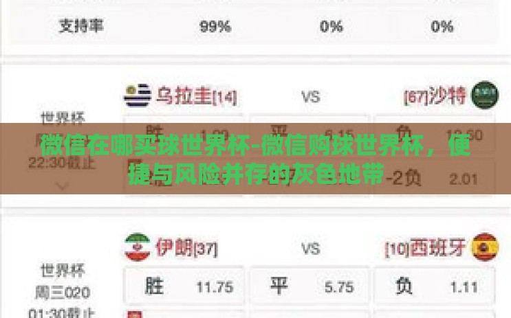 微信在哪买球世界杯-微信购球世界杯，便捷与风险并存的灰色地带
