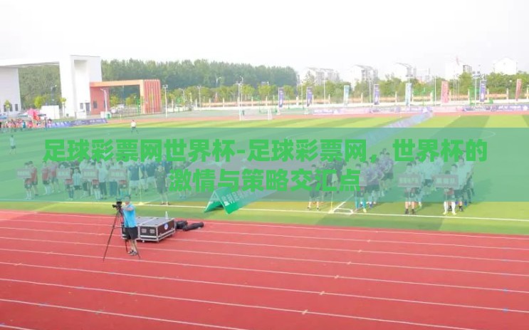 足球彩票网世界杯-足球彩票网，世界杯的激情与策略交汇点