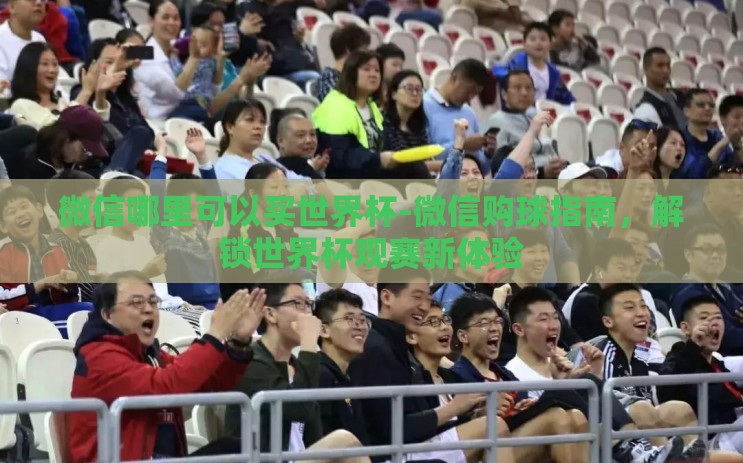 微信哪里可以买世界杯-微信购球指南，解锁世界杯观赛新体验