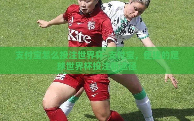 支付宝怎么投注世界杯-支付宝,便捷的足球世界杯投注新途径 支付宝怎么投注世界杯-支付宝,便捷的足球世界杯投注新途径