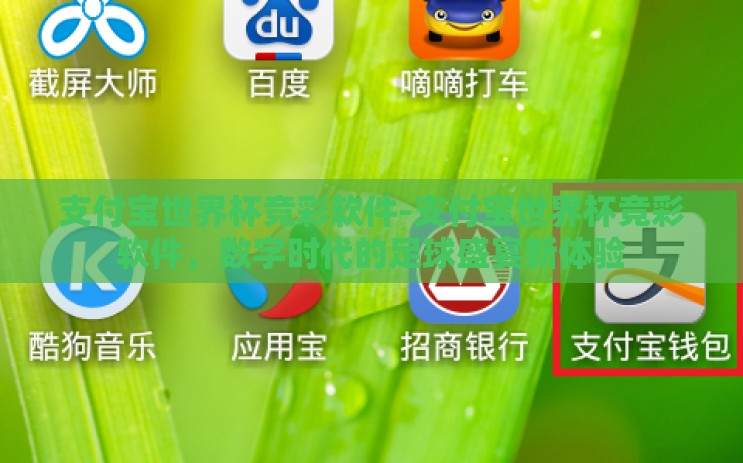 支付宝世界杯竞彩软件-支付宝世界杯竞彩软件，数字时代的足球盛宴新体验