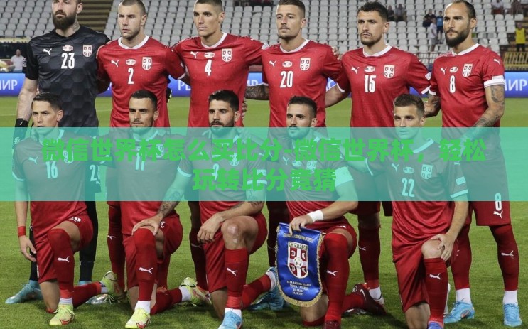 微信世界杯怎么买比分-微信世界杯，轻松玩转比分竞猜