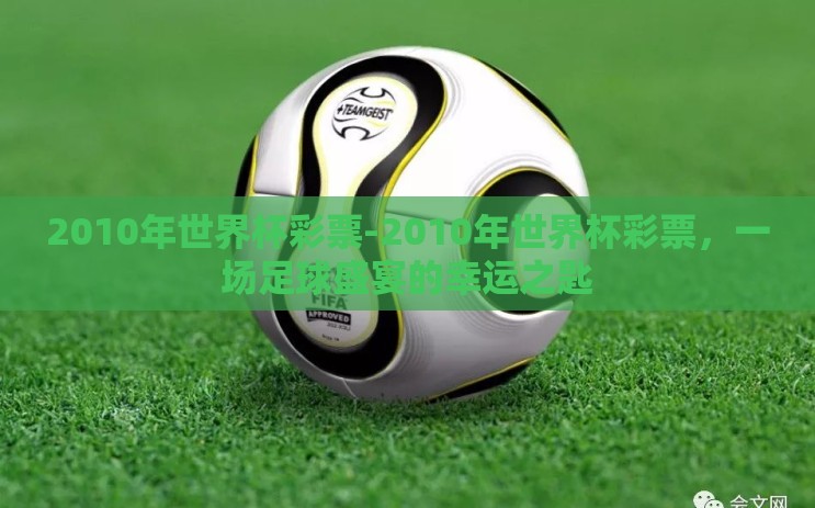 2010年世界杯彩票-2010年世界杯彩票，一场足球盛宴的幸运之匙