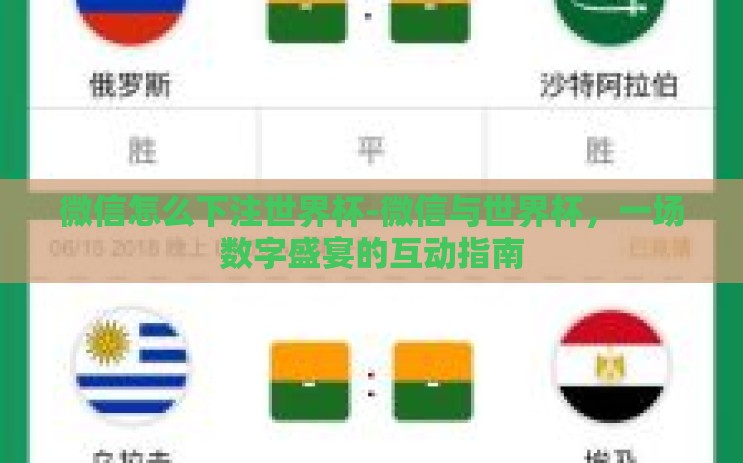 微信怎么下注世界杯-微信与世界杯，一场数字盛宴的互动指南