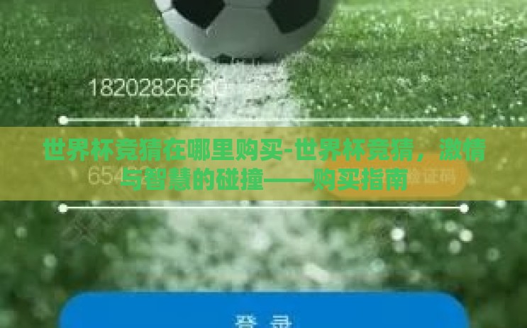 世界杯竞猜在哪里购买-世界杯竞猜，激情与智慧的碰撞——购买指南
