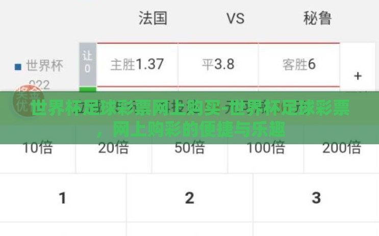 世界杯足球彩票网上购买-世界杯足球彩票，网上购彩的便捷与乐趣