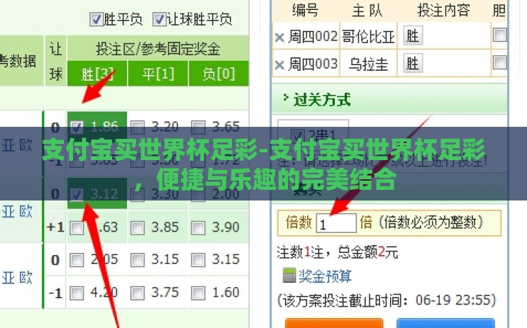 支付宝买世界杯足彩-支付宝买世界杯足彩，便捷与乐趣的完美结合
