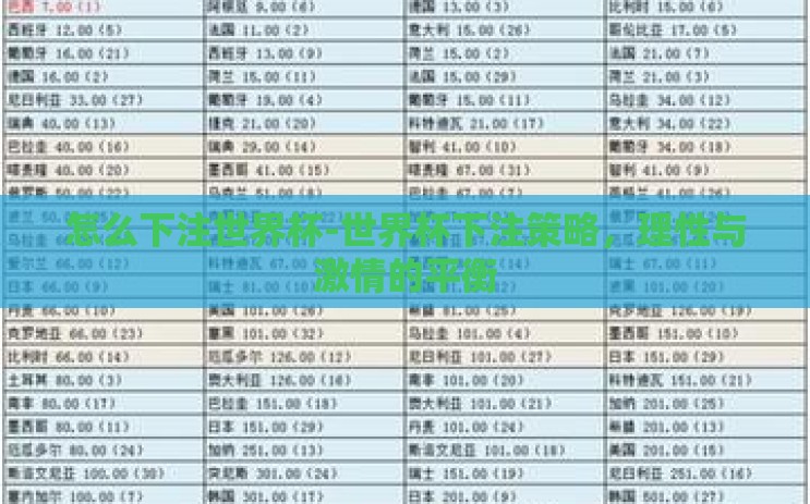 怎么下注世界杯-世界杯下注策略,理性与激情的平衡 怎么下注世界杯-世界杯下注策略,理性与激情的平衡