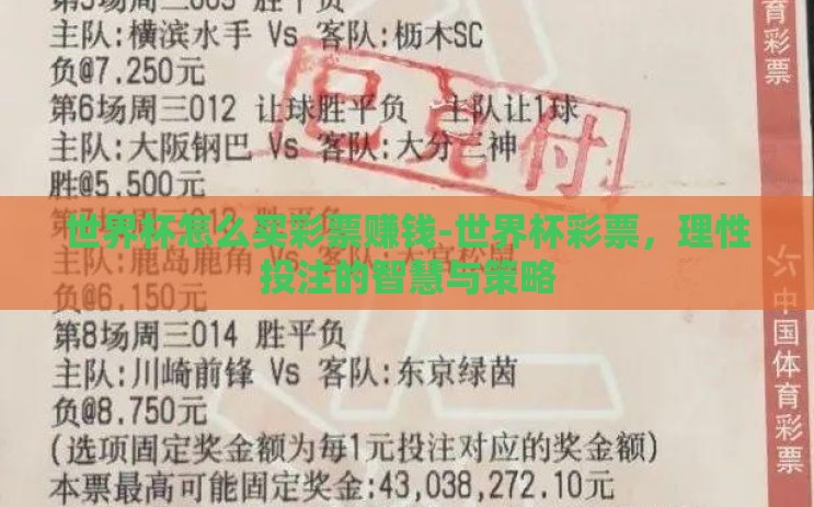 世界杯怎么买彩票赚钱-世界杯彩票，理性投注的智慧与策略