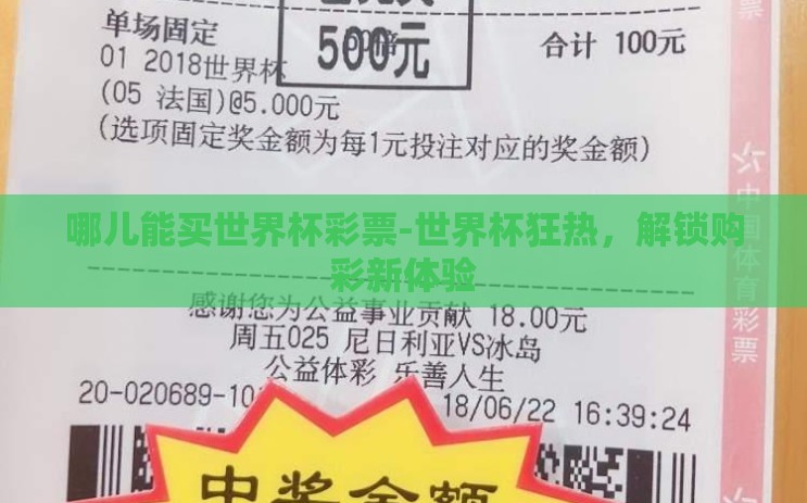 哪儿能买世界杯彩票-世界杯狂热，解锁购彩新体验