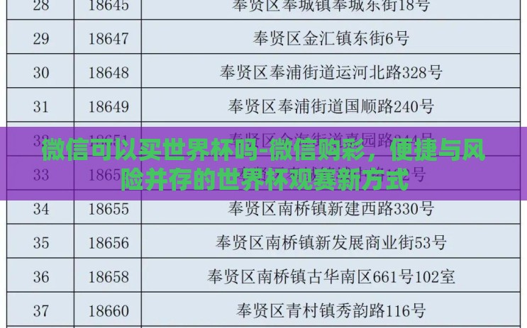 微信可以买世界杯吗-微信购彩，便捷与风险并存的世界杯观赛新方式