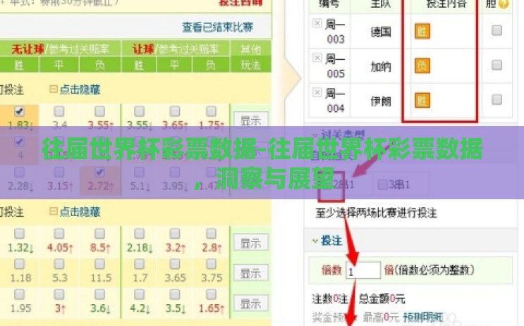 往届世界杯彩票数据-往届世界杯彩票数据,洞察与展望 往届世界杯彩票数据-往届世界杯彩票数据,洞察与展望