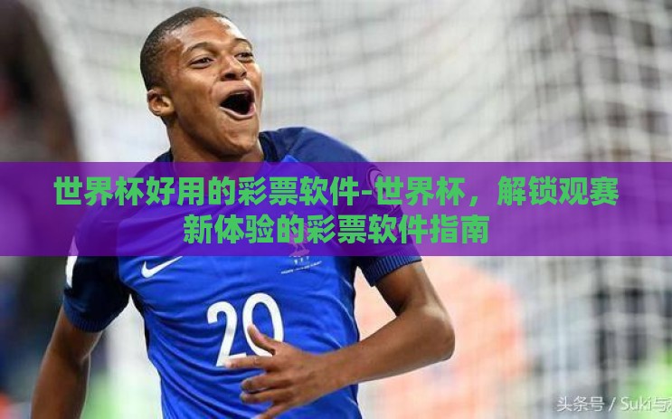 世界杯好用的彩票软件-世界杯，解锁观赛新体验的彩票软件指南
