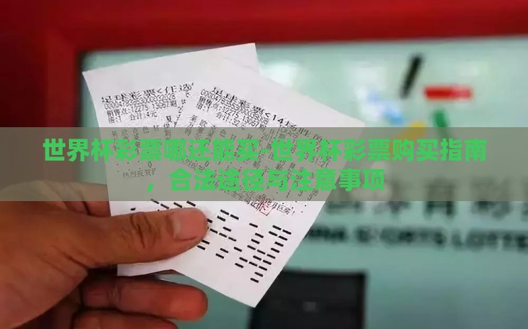 世界杯彩票哪还能买-世界杯彩票购买指南，合法途径与注意事项