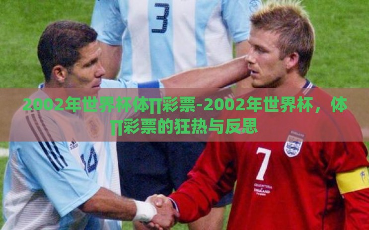 2002年世界杯体∏彩票-2002年世界杯，体∏彩票的狂热与反思