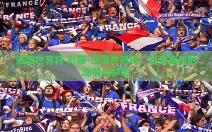 法国世界杯 彩票-法国世界杯，彩票背后的激情与梦想