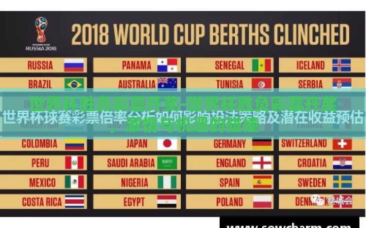 世界杯胜负彩票开奖-世界杯胜负彩票开奖,激情与机遇的碰撞 世界杯胜负彩票开奖-世界杯胜负彩票开奖,激情与机遇的碰撞