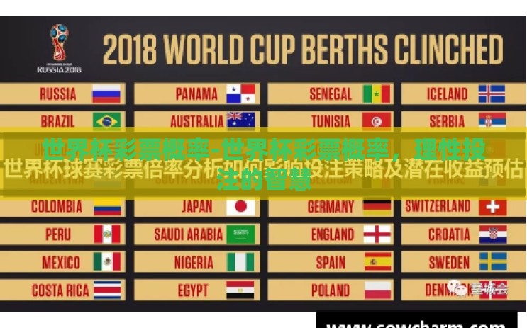 世界杯彩票概率-世界杯彩票概率，理性投注的智慧