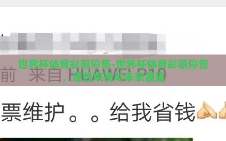 世界杯体育彩票停售-世界杯体育彩票停售，理性审视与未来展望