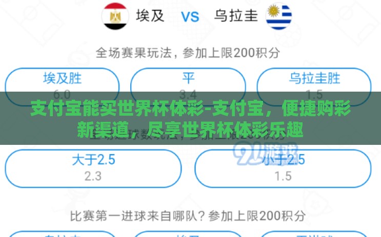 支付宝能买世界杯体彩-支付宝，便捷购彩新渠道，尽享世界杯体彩乐趣