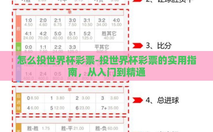 怎么投世界杯彩票-投世界杯彩票的实用指南，从入门到精通