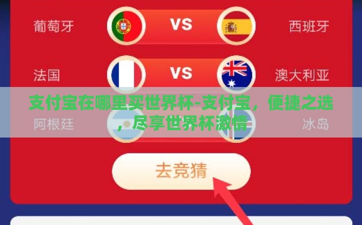 支付宝在哪里买世界杯-支付宝，便捷之选，尽享世界杯激情