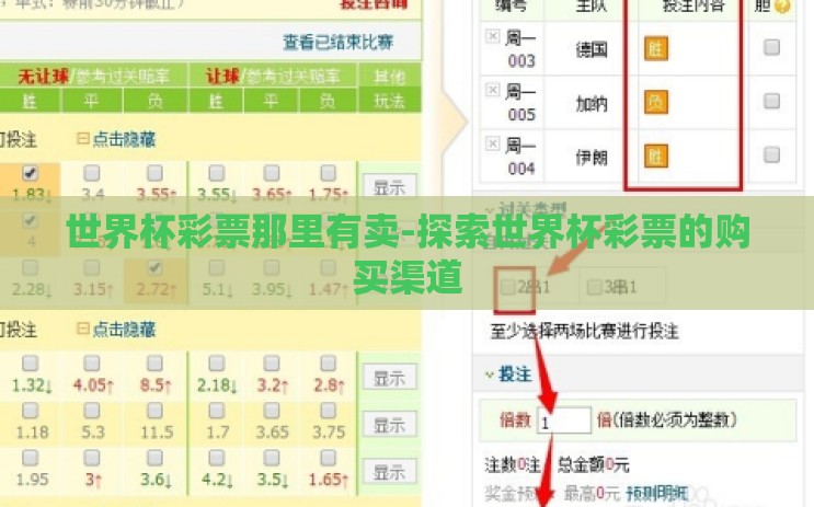 世界杯彩票那里有卖-探索世界杯彩票的购买渠道