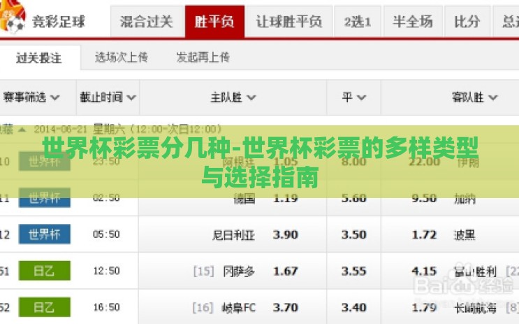 世界杯彩票分几种-世界杯彩票的多样类型与选择指南