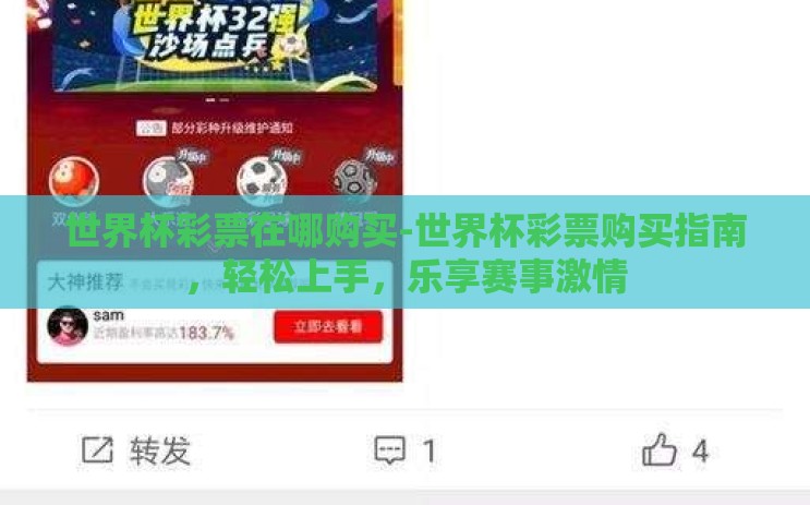 世界杯彩票在哪购买-世界杯彩票购买指南，轻松上手，乐享赛事激情