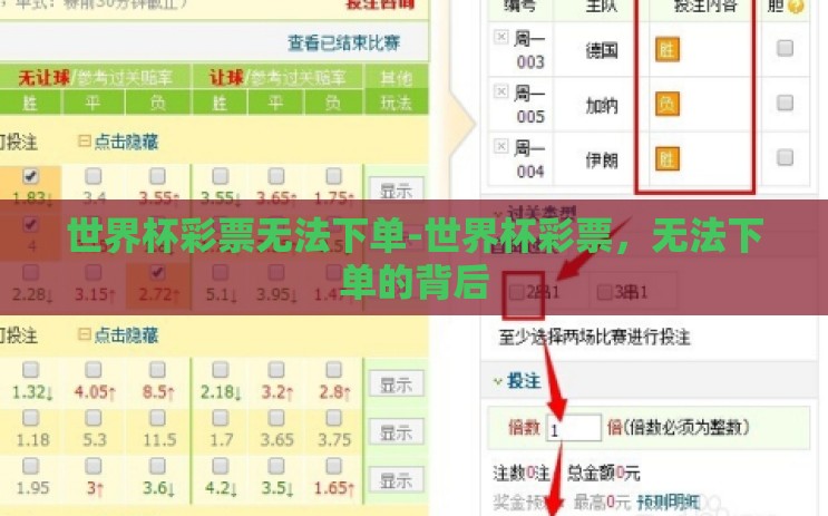 世界杯彩票无法下单-世界杯彩票，无法下单的背后