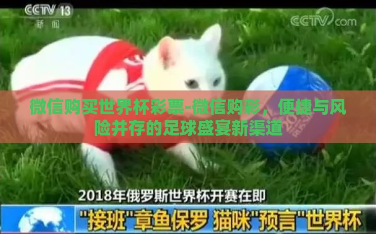 微信购买世界杯彩票-微信购彩,便捷与风险并存的足球盛宴新渠道 微信购买世界杯彩票-微信购彩,便捷与风险并存的足球盛宴新渠道