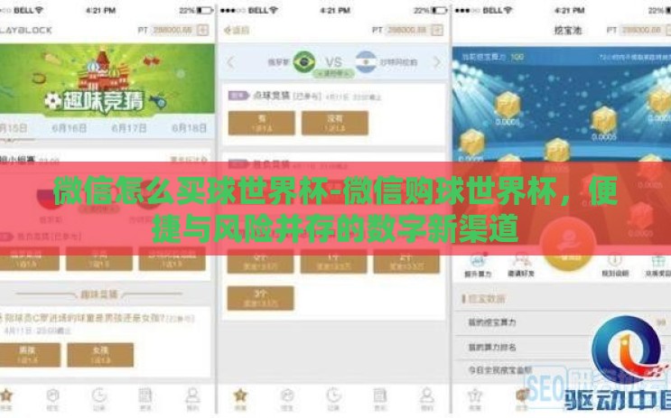 微信怎么买球世界杯-微信购球世界杯，便捷与风险并存的数字新渠道