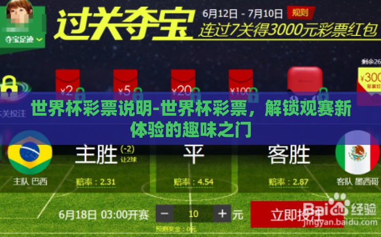 世界杯彩票说明-世界杯彩票，解锁观赛新体验的趣味之门