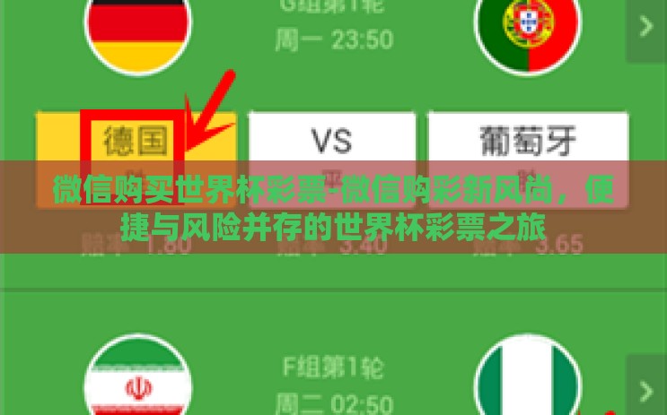 微信购买世界杯彩票-微信购彩新风尚，便捷与风险并存的世界杯彩票之旅