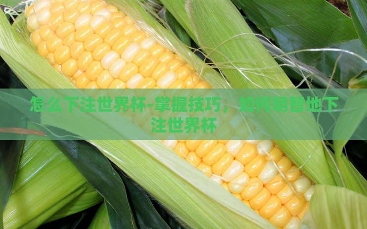怎么下注世界杯-掌握技巧，如何明智地下注世界杯