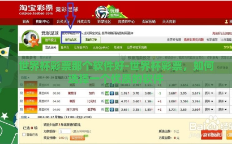 世界杯彩票那个软件好-世界杯彩票，如何选择一个优质的软件