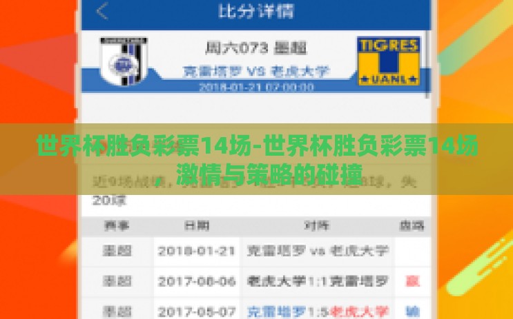 世界杯胜负彩票14场-世界杯胜负彩票14场,激情与策略的碰撞 世界杯胜负彩票14场-世界杯胜负彩票14场,激情与策略的碰撞
