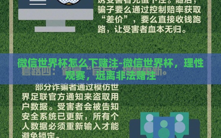 微信世界杯怎么下赌注-微信世界杯，理性观赛，远离非法赌注