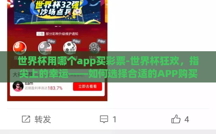 世界杯用哪个app买彩票-世界杯狂欢，指尖上的幸运——如何选择合适的APP购买彩票
