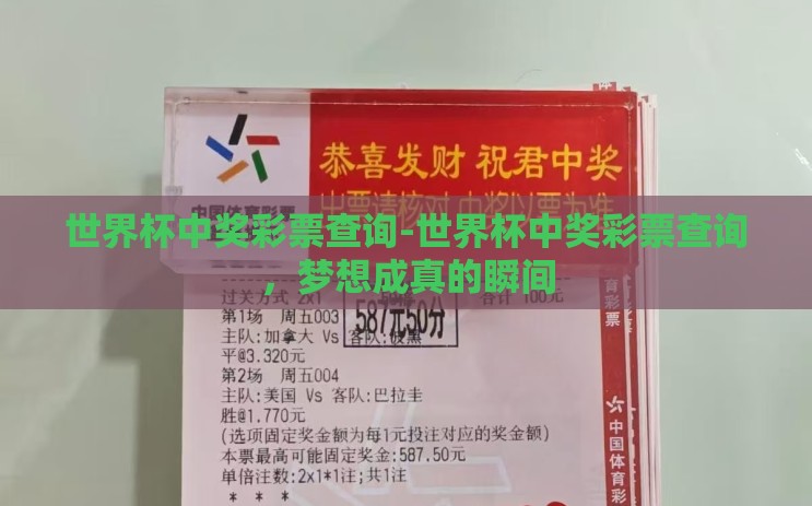 世界杯中奖彩票查询-世界杯中奖彩票查询，梦想成真的瞬间